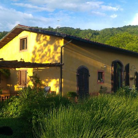 Podere Di Maggio - Casa Della Nonna Santa Fiora Buitenkant foto