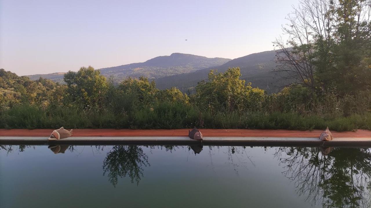 Podere Di Maggio - Casa Della Nonna Santa Fiora Buitenkant foto