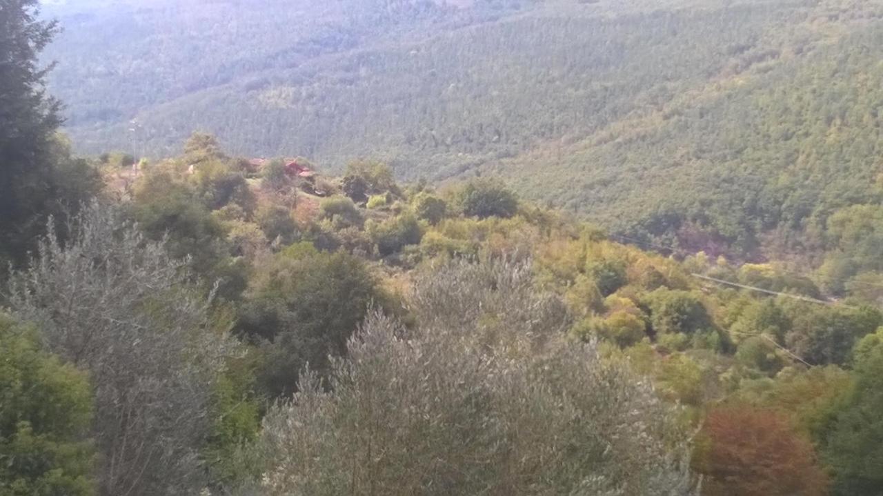 Podere Di Maggio - Casa Della Nonna Santa Fiora Buitenkant foto