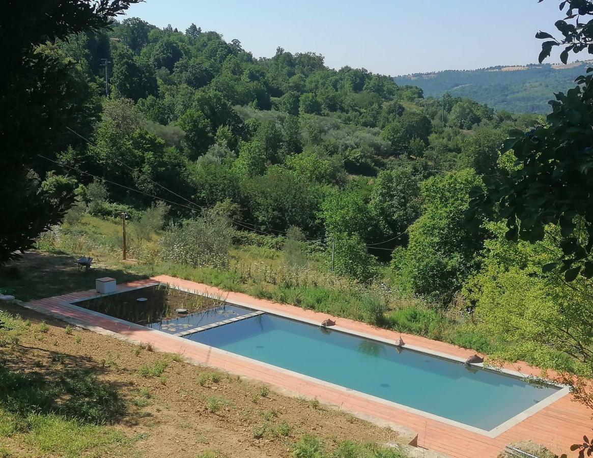 Podere Di Maggio - Casa Della Nonna Santa Fiora Buitenkant foto