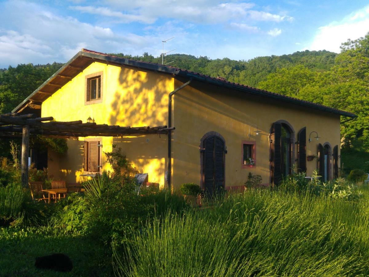 Podere Di Maggio - Casa Della Nonna Santa Fiora Buitenkant foto